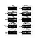 Fig. 06 - Method and Kit for DNA Typing of HLA Gene
