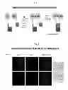 Fig. 02 - Split peroxidases and methods of use