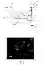 Fig. 02 - THREE-DIMENSIONAL CELL CULTURE METHODS FOR TEST MATERIAL ASSESSMENT OF CELL DIFFERENTIATION