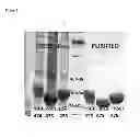 Fig. 02 - Compositions and methods for producing chemicals and derivatives thereof