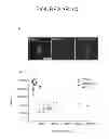 Fig. 07 - Transcriptome transfer produces cellular phenotype conversion