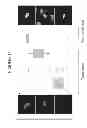 Fig. 22 - Transcriptome transfer produces cellular phenotype conversion
