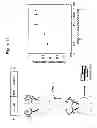 Fig. 12 - Bacterial methods