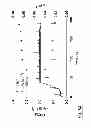 Fig. 08 - METHODS AND SYSTEM FOR OBTAINING ALGAL BIOMASS AND CULTIVATION MEDIUM