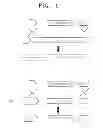 Fig. 02 - CASSETTE INCLUDING PROMOTER SEQUENCE OF TARGET GENE AND METHOD OF GENE MANIPULATION USING THE SAME
