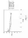 Fig. 02 - Stable indium-containing semiconductor nanocrystals