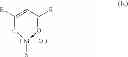 Fig. 04 - Hardmask surface treatment