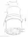 Fig. 06 - Vehicle to snow/ice control device wiring harness with replaceable connector