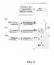 Fig. 22 - METHOD AND APPARATUS FOR OPTIMIZATION OF WIRELESS MULTIPOINT ELECTROMAGNETIC COMMUNICATION NETWORKS