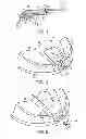 Fig. 03 - Golf club having removable weight