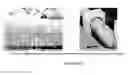 Fig. 02 - Porous SiC ceramic and method for the fabrication thereof