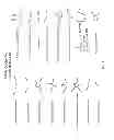 Fig. 04 - Fiber-based adsorbents having high adsorption capacities for recovering dissolved metals and methods thereof