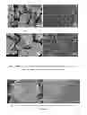 Fig. 06 - FORMULATION