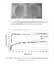 Fig. 07 - FORMULATION