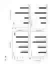 Fig. 17 - Methods for Improving Fruit Production and Fruit Quality