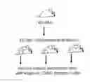 Fig. 01 - RNAi-based method of screening and characterizing drug combinations