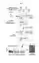 Fig. 02 - Methods and compositions for single cell expression profiling