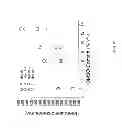 Fig. 19 - Step-wise nucleic acid sequencing with catalytic and non-catalytic metals