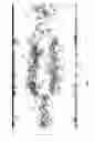 Fig. 13 - METHODS FOR PREIMPLANTATION GENETIC DIAGNOSIS BY SEQUENCING