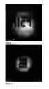 Fig. 06 - Encoding of microcarriers