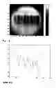 Fig. 08 - Encoding of microcarriers