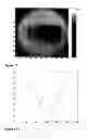 Fig. 09 - Encoding of microcarriers
