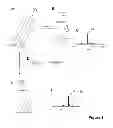 Fig. 07 - Characterization of biochips containing self-assembled monolayers
