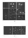 Fig. 02 - Method for evaluating bacterial cell wall integrity