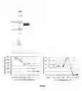 Fig. 06 - Design of pH-Sensitive Oligopeptide Complexes For Drug Release Under Mildly Acidic Conditions