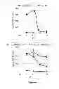 Fig. 07 - Design of pH-Sensitive Oligopeptide Complexes For Drug Release Under Mildly Acidic Conditions