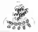 Fig. 09 - IL4/IL13 binding repeat proteins and uses