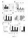 Fig. 02 - TREATMENT OF LEUKEMIA