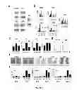 Fig. 07 - TREATMENT OF LEUKEMIA