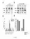 Fig. 09 - TREATMENT OF LEUKEMIA