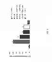 Fig. 05 - Stromal Derived Factor Inhibition And CXCR4 Blockade