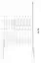 Fig. 11 - Stromal Derived Factor Inhibition And CXCR4 Blockade
