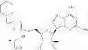 Fig. 731 - 2′-azido substituted nucleoside derivatives and methods of use thereof for the treatment of viral diseases