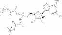 Fig. 855 - 2′-azido substituted nucleoside derivatives and methods of use thereof for the treatment of viral diseases