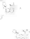 Fig. 511 - Substituted 2,10-dihydro-9-oxa-1,2,4A-triazaphenanthren-3-ones and uses thereof
