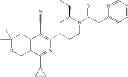 Fig. 197 - Phenyl and pyridinyl substituted piperidines and piperazines as inhibitors of IDH1 mutants and their use in treating cancer