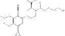 Fig. 255 - Phenyl and pyridinyl substituted piperidines and piperazines as inhibitors of IDH1 mutants and their use in treating cancer