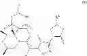 Fig. 09 - Compounds and methods for treating bacterial infections