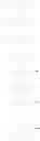 Fig. 255 - Heterocyclic pyridone compound, and intermediate, preparation method and use thereof