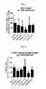 Fig. 02 - Macrocyclic LRRK2 kinase inhibitors