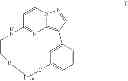 Fig. 08 - Macrocyclic LRRK2 kinase inhibitors