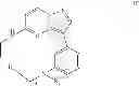 Fig. 09 - Macrocyclic LRRK2 kinase inhibitors