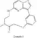 Fig. 231 - Macrocyclic LRRK2 kinase inhibitors