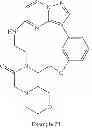 Fig. 262 - Macrocyclic LRRK2 kinase inhibitors