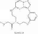 Fig. 263 - Macrocyclic LRRK2 kinase inhibitors