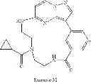 Fig. 271 - Macrocyclic LRRK2 kinase inhibitors